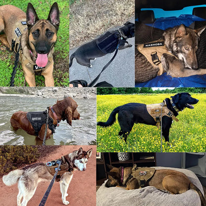 Large Dog Harness & Leash Set — Training & Walking Vest for German Shepherd, Malinois