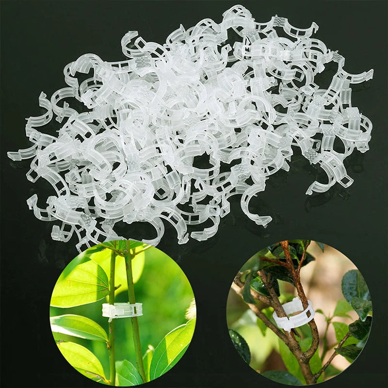 Reusable Plastic Plant Clips: Supports for Tomato Stem Grafting, Vine Fixing - Orchard and Garden Tools