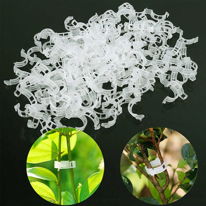 Reusable Plastic Plant Clips: Supports for Tomato Stem Grafting, Vine Fixing - Orchard and Garden Tools