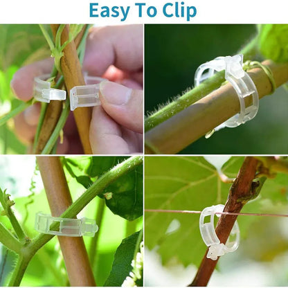 Reusable Plastic Plant Clips: Supports for Tomato Stem Grafting, Vine Fixing - Orchard and Garden Tools