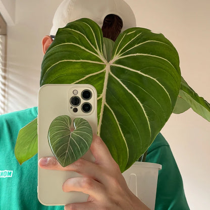 Popular Cute Simulation Leaf Phone Holder Grip - Foldable & Expandable Finger Ring Support Stand - Glossy Griptok Pocket Socket