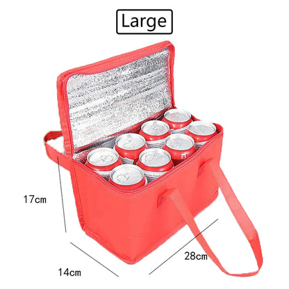 Portable Insulated Lunch Cooler Bag – Folding Thermal Picnic Tote, Ice Pack Food & Drink Carrier, Beer Delivery Bag