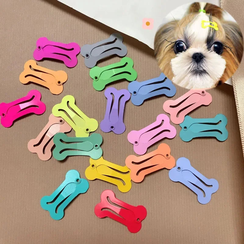 5-Piece Cute Dog Hairpin Set - Colorful Bone-Shaped Clips for Pet Grooming, Suitable for Puppies, Chihuahuas, Pugs & More