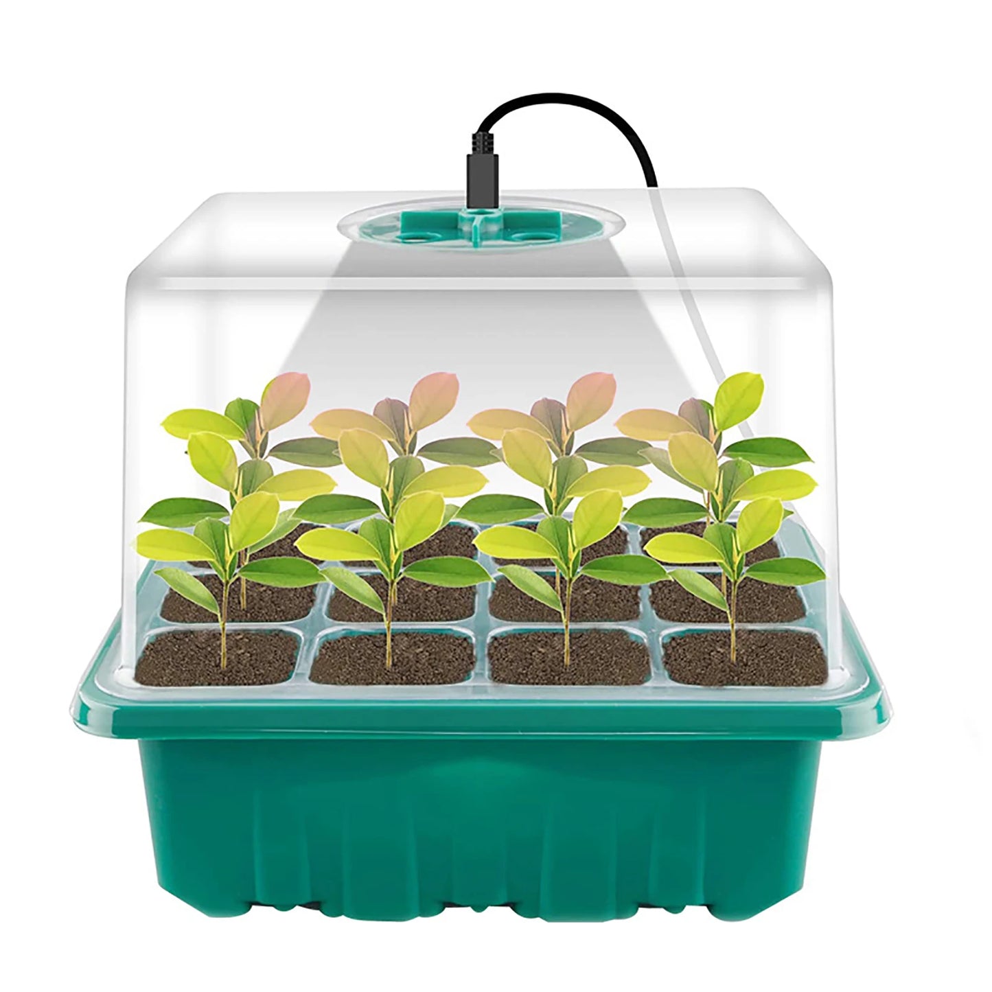LED Grow Light with 6/12-Hole Seed Starter Trays — Indoor Plant Germination & Seedling Growing Box