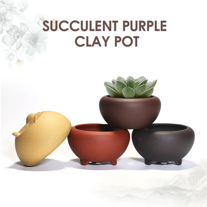 Ceramic Round Plant Pot - Succulent & Orchid Planter with Drainage Holes for Indoor & Outdoor Decor