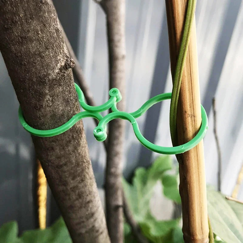 Plastic Garden Vine Strapping Clips - 20/50/100Pcs Tie Plant Bundled Buckle Ring Holder for Tomato Plants and Garden Support