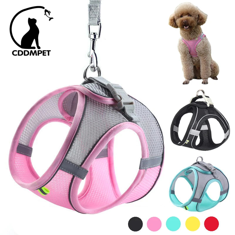 Adjustable Dog Harness Leash Set: Vest for Small Dogs, French Bulldog, Chihuahua, Pug - Outdoor Walking Lead