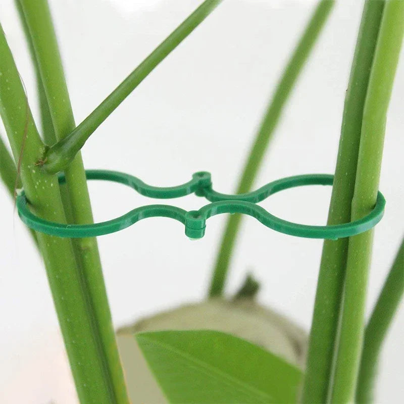 Plastic Garden Vine Strapping Clips - 20/50/100Pcs Tie Plant Bundled Buckle Ring Holder for Tomato Plants and Garden Support