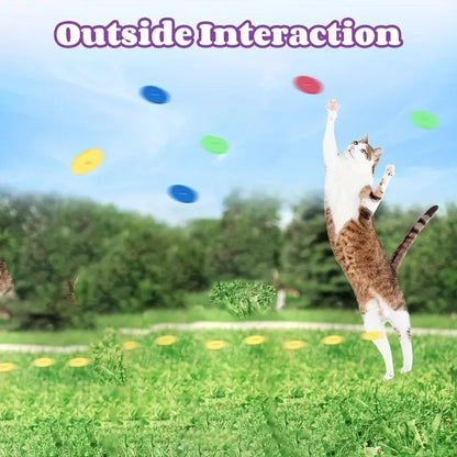 Cat & Dog Toy Set – Colorful Flying Discs with Launcher for Interactive Indoor & Outdoor Pet Training