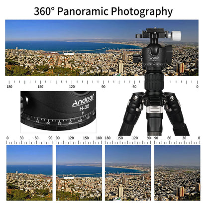 Andoer H-35 Tripod Ball Head - Panorama Ballhead Mount Adapter, U-Groove Low Gravity Design, 15kg/33lbs Load Capacity
