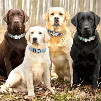 Adjustable Nylon Dog & Cat Collar – Personalized ID Collar with Engraved Name Buckle, Anti-Lost for Small, Medium & Large Pets