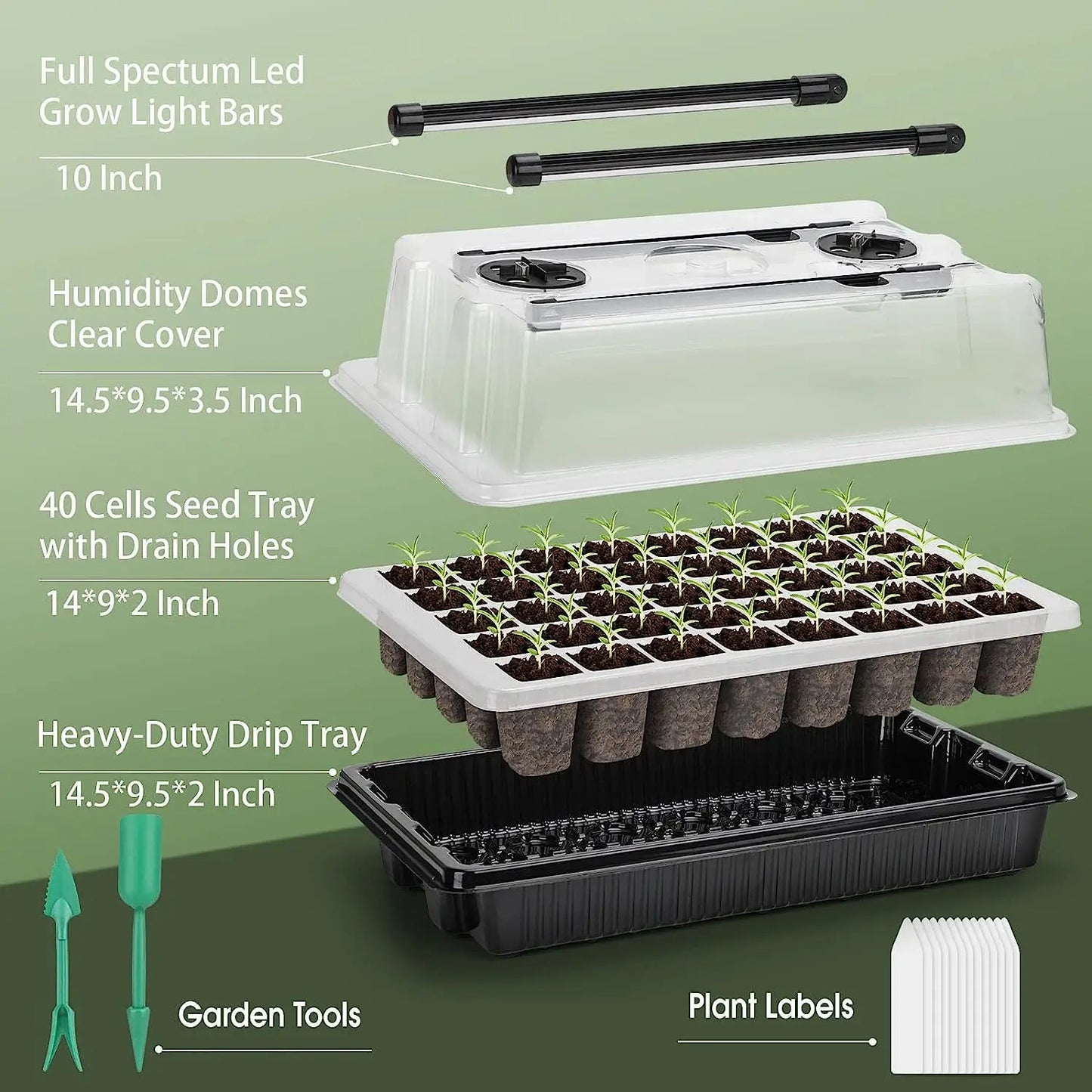 Seed Starter Kit with 40-Cell Trays — Includes 2 Long Strip Grow Lights & Humidity Dome for Seedlings
