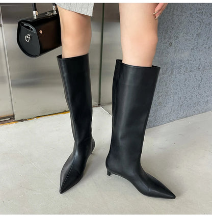 Aneikeh 2025 Fashion Sexy Pointed Low Heel Knee-High Boots – Women's Spring/Autumn PU Western Party Boots (Size 35-40)