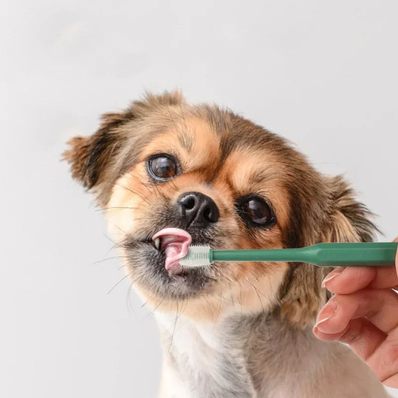 Cat Toothbrush - Soft Bristle Pet Dental Cleaning Brush for Cat Teeth Care & Grooming