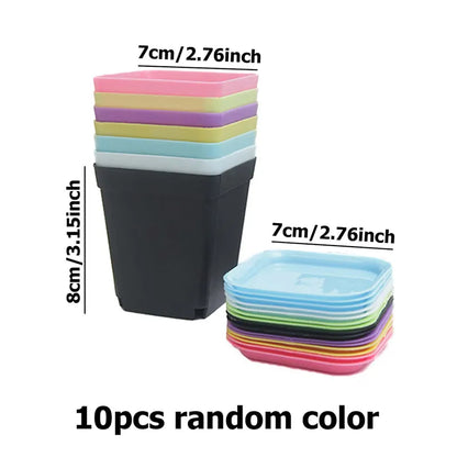 10PCS Mini Gardening Pots Set - Small Square Plastic Pots in Seven Colors, Perfect for Succulents and Seedlings - TMZ Seedling Tray Collection