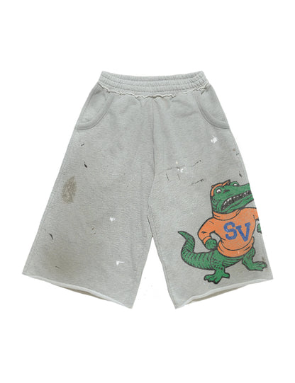 Y2K Alligator Grey T-Shirt Set - Vintage Letter Print Long Sleeve Top and Casual Shorts for Men & Women