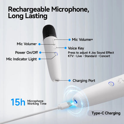 Q1 Tesla Wireless Handheld Microphone – Karaoke Mic with 4 Joy Effects, Rechargeable, Type-C Receiver & USB Converter