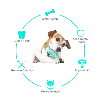 Dog Molar Toothbrush Stick Toys | Interactive Chew Toy for Small & Large Dogs, Cat Dental Cleaning
