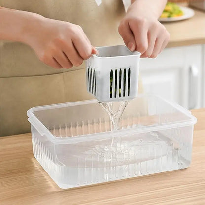 Refrigerator Storage Box – 4/6 Grid Clear Crisper for Fruits, Vegetables & Meat
