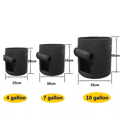 Versatile Felt Plant Grow Bags: Ideal for Greenhouse, Garden, and Vegetable Growing - 3 Sizes Available