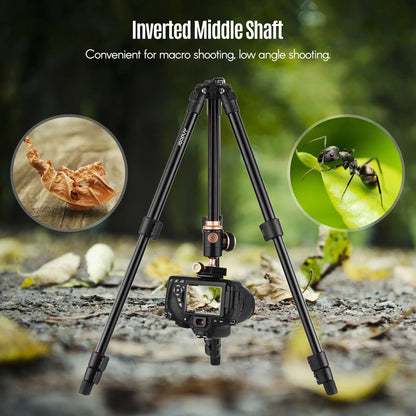 Andoer Q160SA Camera Tripod – Panoramic Ballhead for DSLR, Digital Cameras, Camcorders, Canon, Nikon, Sony