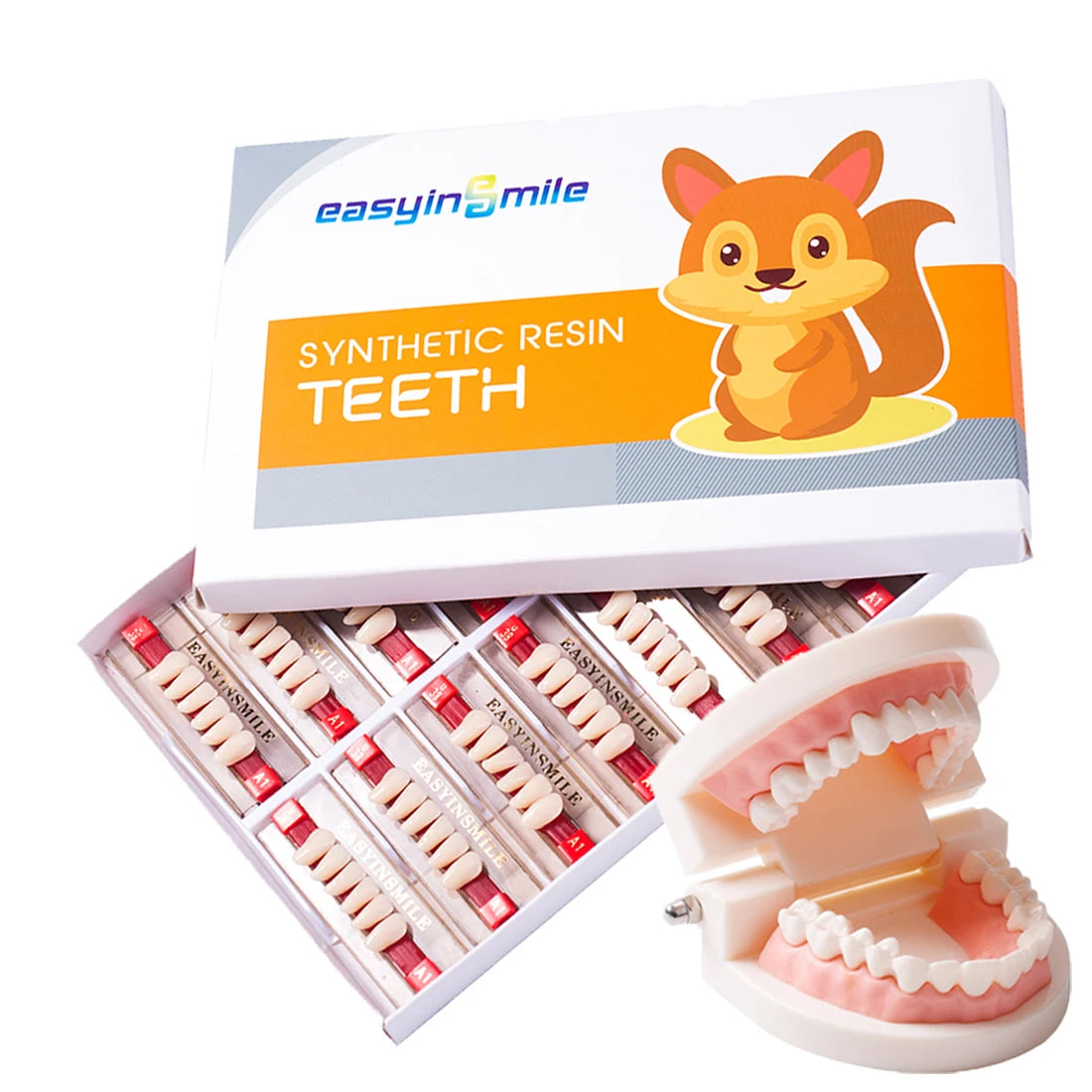 16/12 Set Dental Denture Teeth Model Kit, Upper & Lower Anterior Synthetic Polymer Teeth A2 A3 for Dental Education & Training