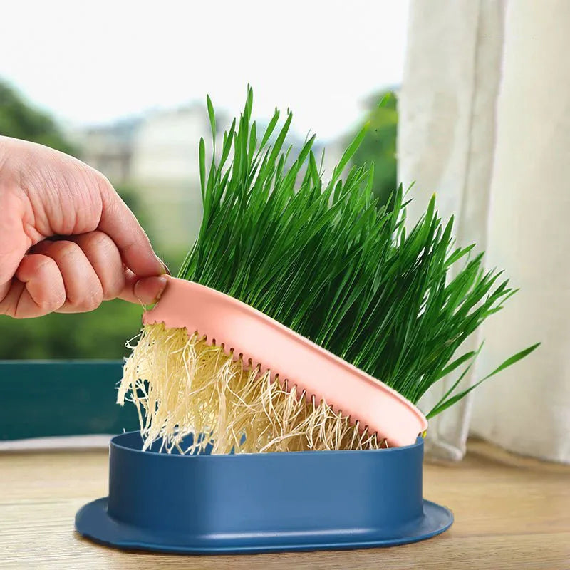 Hydroponic Pet Cat Sprout Dish: Greenhouse Grow Box for Cat Grass Germination - Digestion Starter Pot, Reusable and Eco-Friendly