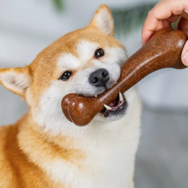 Natural Non-Toxic Indestructible Dog Chew Bone Toy – Anti-Bite Puppy Teething Toy for Small, Medium & Large Dogs Pet Chew Toy