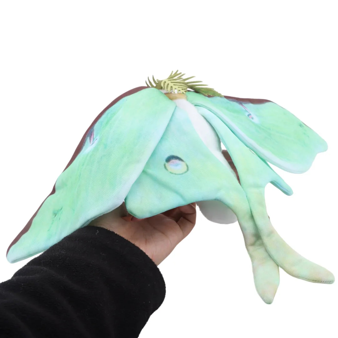 Luna Moth & Rosy Maple Moth Plush - Soft Realistic Insect Stuffed Animal Gift