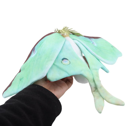 Luna Moth & Rosy Maple Moth Plush - Soft Realistic Insect Stuffed Animal Gift