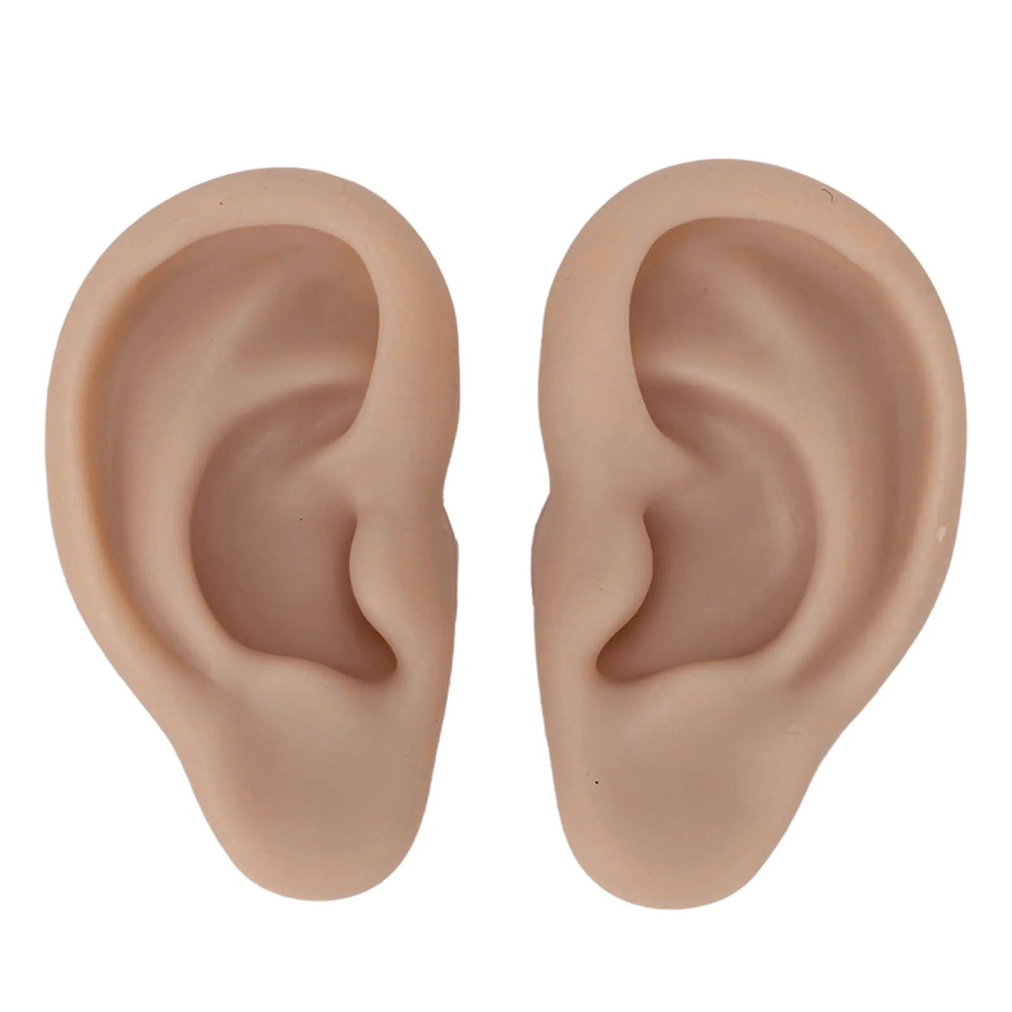 Soft Silicone Ear Model – Flexible Piercing Practice & Earring Display Training Mannequin for Jewelry Showcase & Ear Piercing Practice