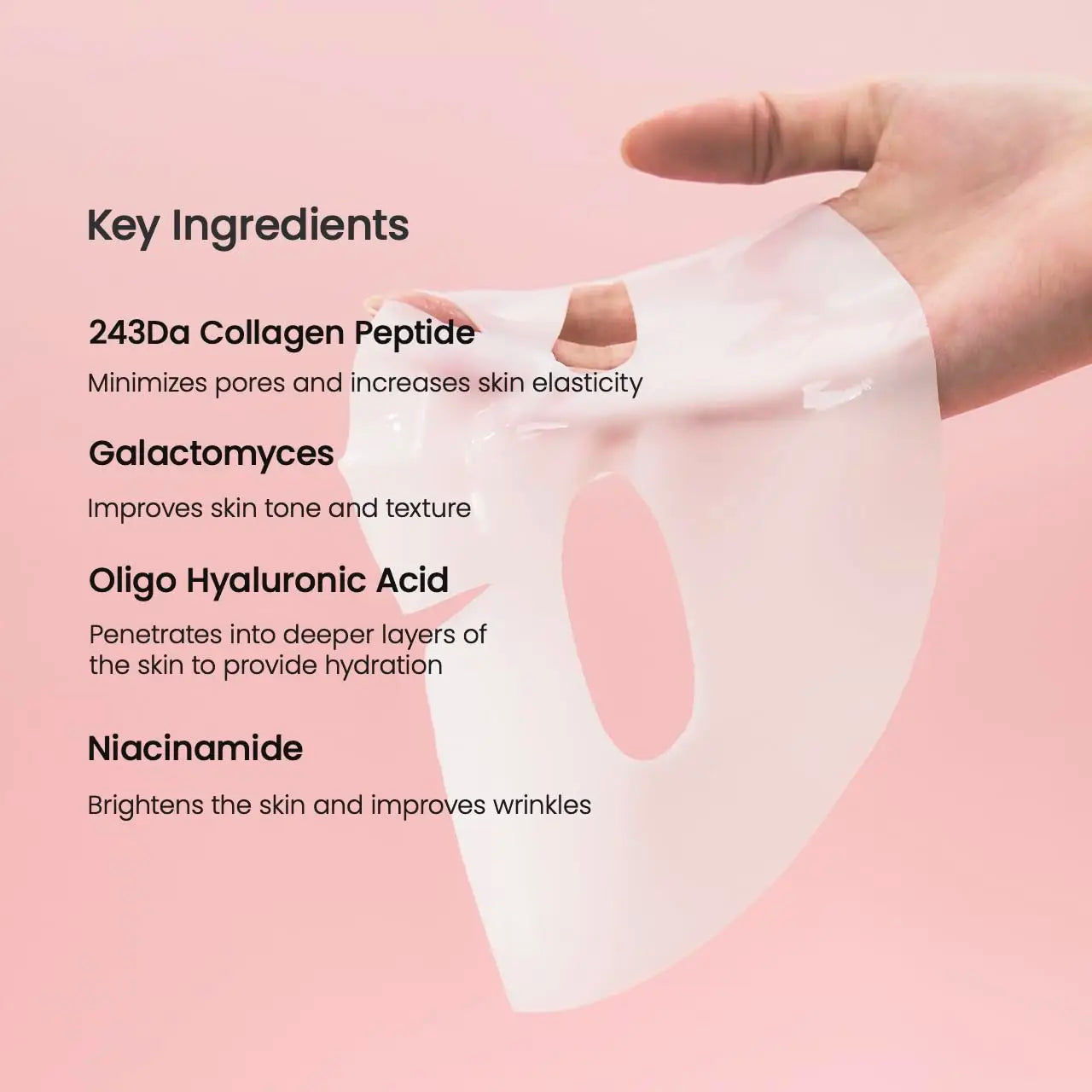 BIODANCE Bio-Collagen Gel Mask – Deep Hydrating, Pore-Refining & Elasticity Boost Night Mask
