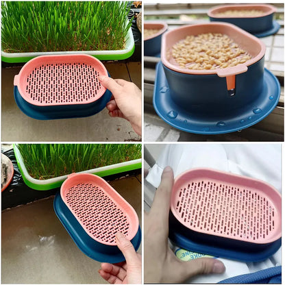 Hydroponic Pet Cat Sprout Dish: Greenhouse Grow Box for Cat Grass Germination - Digestion Starter Pot, Reusable and Eco-Friendly