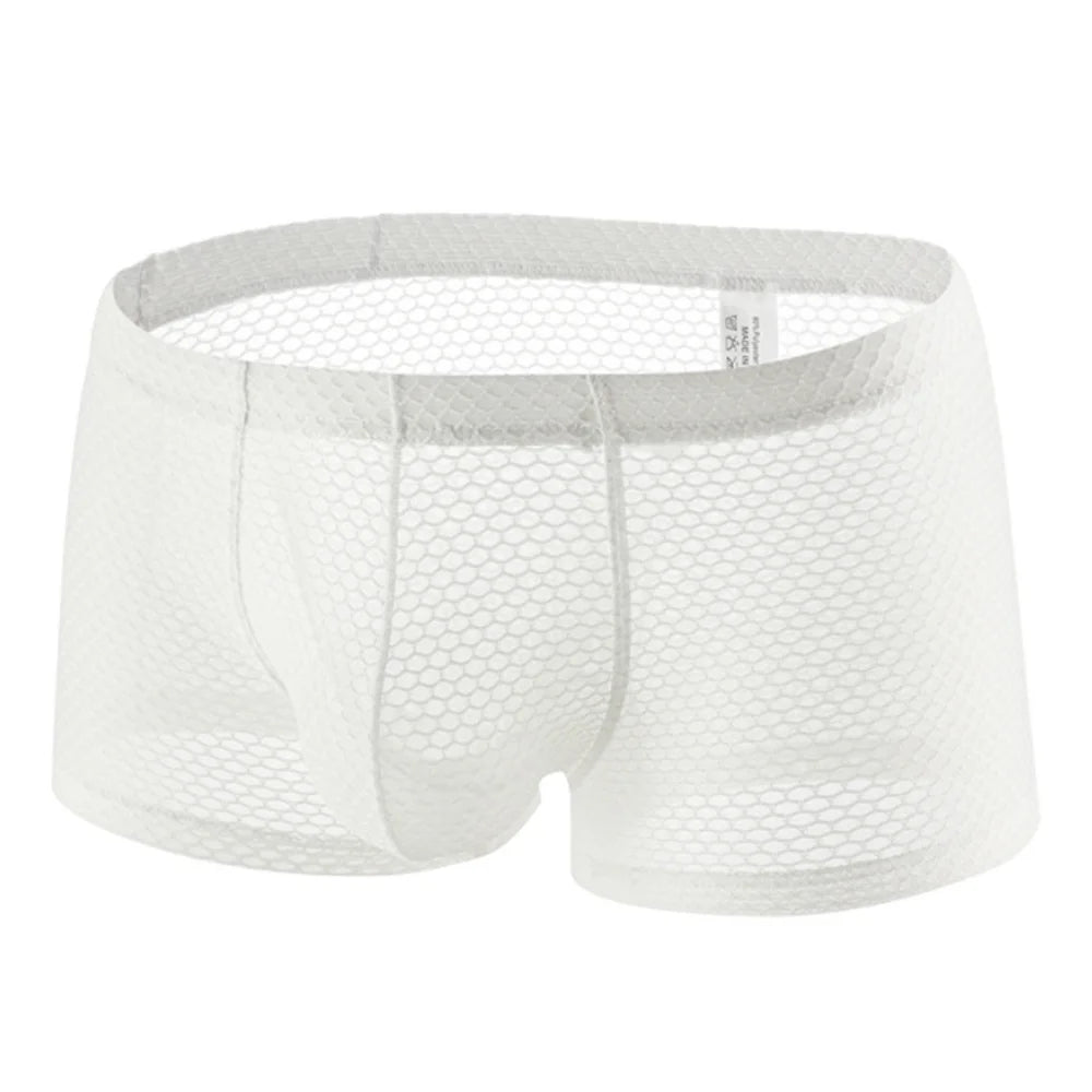 Men's Fishnet Mesh Boxer Shorts - Sexy Hollow Out Low Waist U Pouch Transparent Underwear Trunks Plus Size