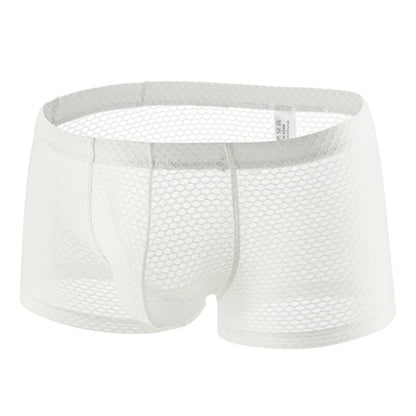 Men's Fishnet Mesh Boxer Shorts - Sexy Hollow Out Low Waist U Pouch Transparent Underwear Trunks Plus Size