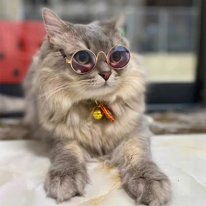 Lovely Vintage Round Cat Sunglasses - Reflective Eyewear for Small Dogs and Cats, Pet Photo Props and Accessories