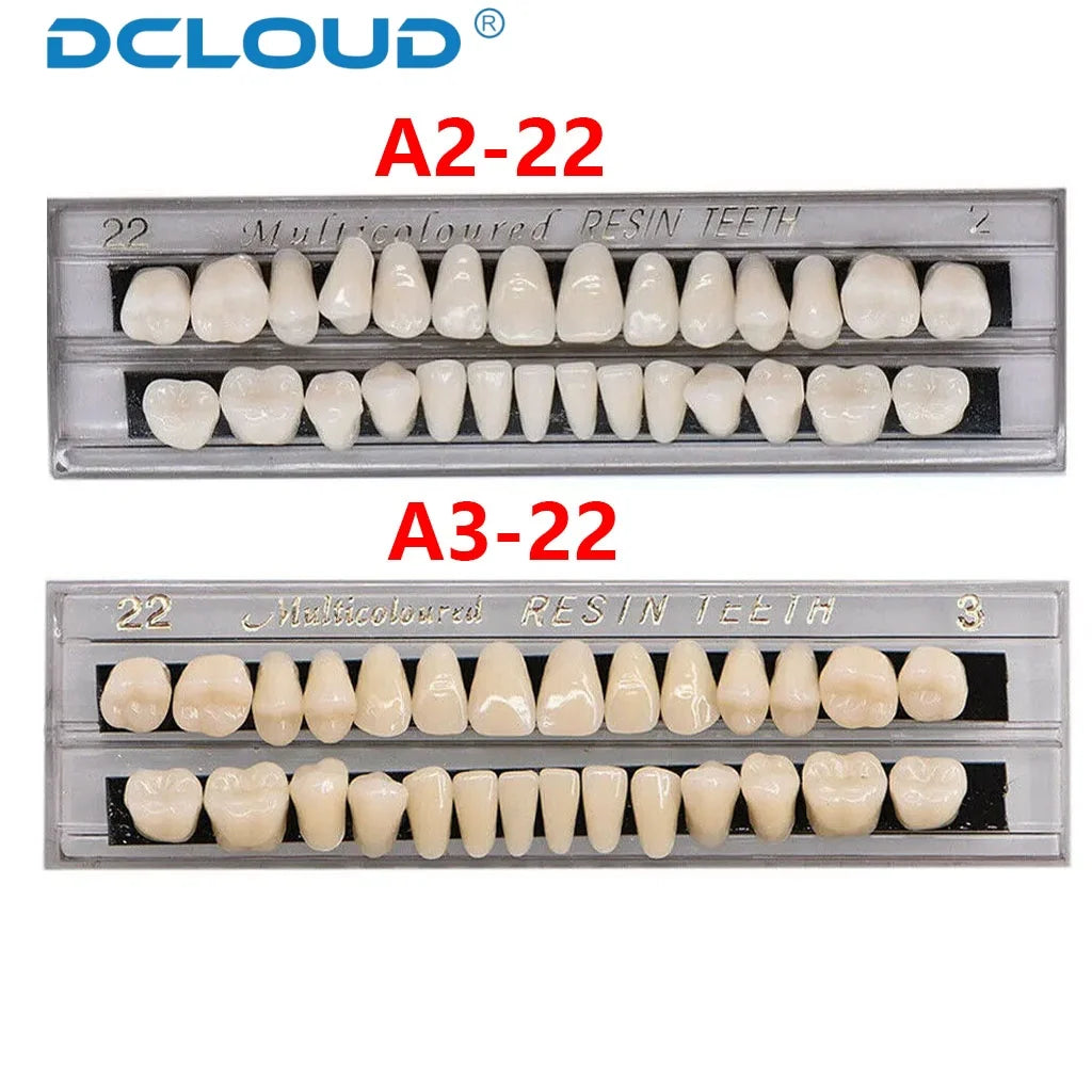 28-Teeth Dental Acrylic Resin Denture Set – Upper & Lower False Teeth Model (A2/A3, Shade 22# & 23#) for Dental Education & Research