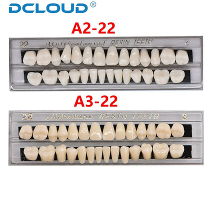 28-Teeth Dental Acrylic Resin Denture Set – Upper & Lower False Teeth Model (A2/A3, Shade 22# & 23#) for Dental Education & Research