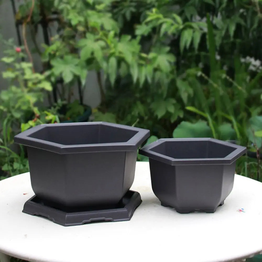 Hexagon Flower Pots – Succulent Box Planter, Plant Container for Home & Office Decor
