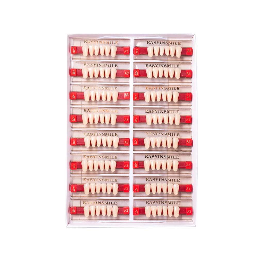 16/12 Set Dental Denture Teeth Model Kit, Upper & Lower Anterior Synthetic Polymer Teeth A2 A3 for Dental Education & Training