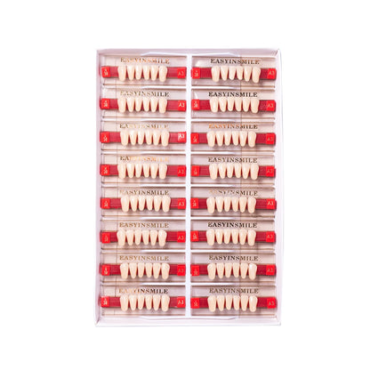 16/12 Set Dental Denture Teeth Model Kit, Upper & Lower Anterior Synthetic Polymer Teeth A2 A3 for Dental Education & Training