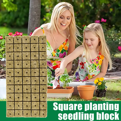 Stonewool Hydroponic Grow Cubes — 500/50x Seedling Blocks for Garden Germination & Water Cultivation