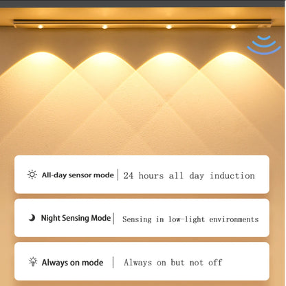 PZSUNLY USB Rechargeable Motion Sensor LED Cabinet Light - Kitchen Wardrobe Lighting in Various Sizes: 20cm/30cm/40cm/60cm/80cm