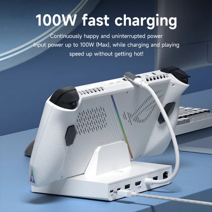Hagibis 6-in-1 Universal Docking Station – 4K HDMI, 2.5G RJ45, 100W PD, RGB USB-C Hub for ROG Ally, Steam Deck & Switch OLED