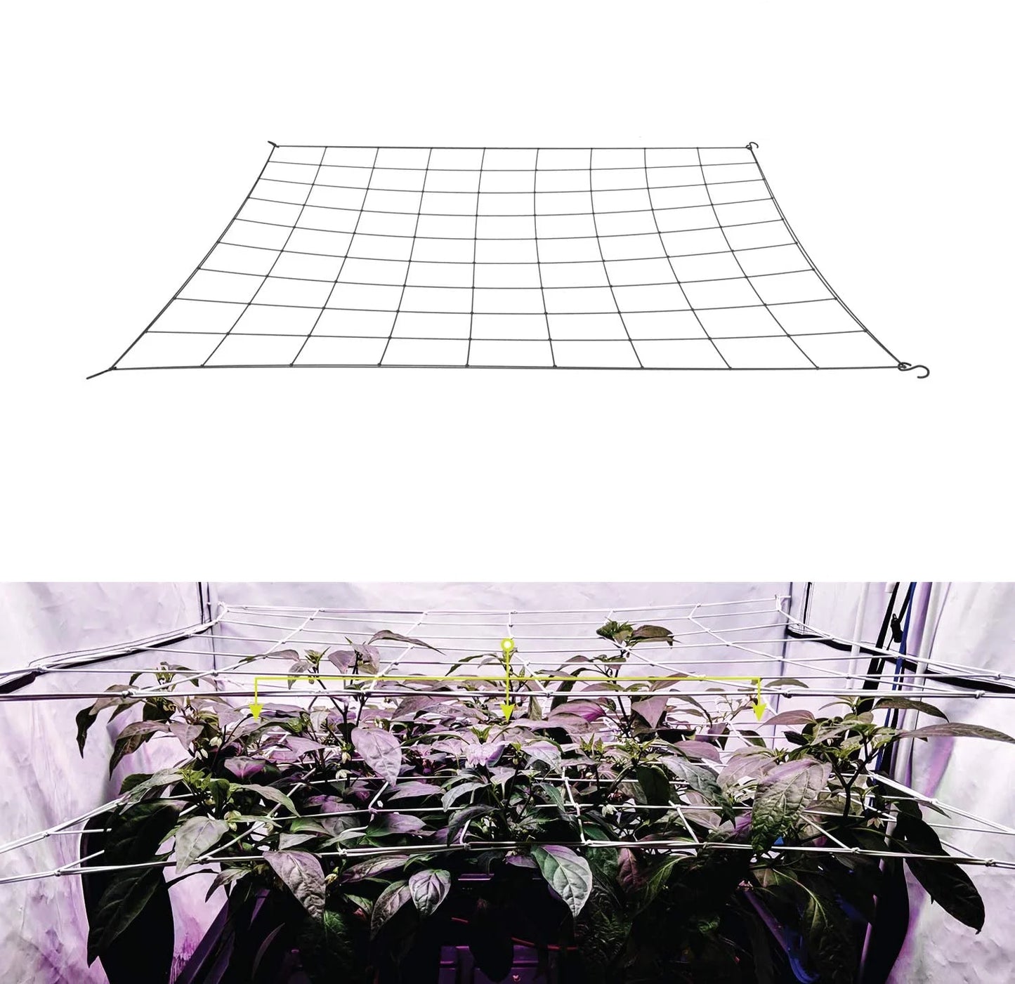 4'' Mesh Trellis Netting for Grow Tents – Elastic ScrOG/LST/HST Plant Support with Hooks, Grow Box Kit for Low Stress Training