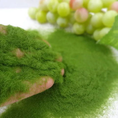 Artificial Moss Micro Landscape Decoration: DIY Garden Craft Building Model Material - Includes Artificial Grass Powder and Accessories