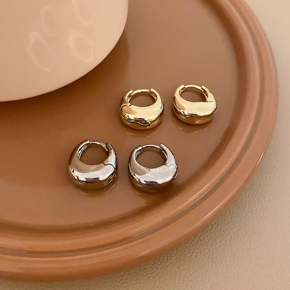 Stainless Steel Chunky Hoop Earrings – Smooth Round Statement Hoops for Women & Girls, Punk Fashion Jewelry