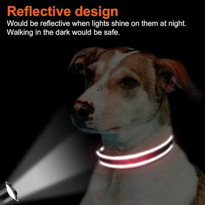 Reflective Dog Collar – Soft Neoprene Padded Nylon, Adjustable & Sturdy for Medium and Large Dogs