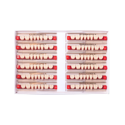 16/12 Set Dental Denture Teeth Model Kit, Upper & Lower Anterior Synthetic Polymer Teeth A2 A3 for Dental Education & Training