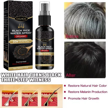 Gray to Black Hair Treatment Serum – Natural Hair Color Repair Spray for Hair Loss & Healthy Hair Care